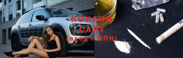 стафф Алексин
