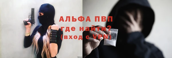 стафф Алексин