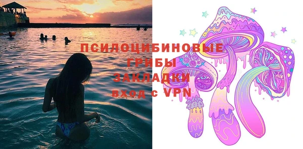 соль ск Алексеевка