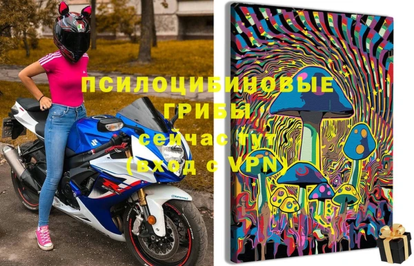 соль ск Алексеевка