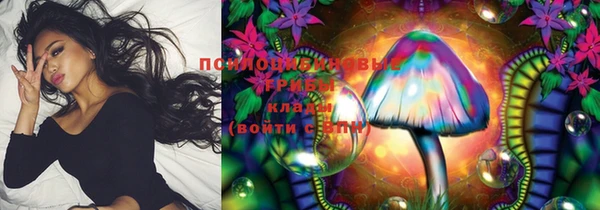 стафф Алексин